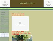 Tablet Screenshot of istanbul-kurzhaar.com